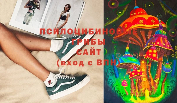 МДПВ Гусев