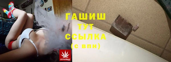 прущие крисы Горняк