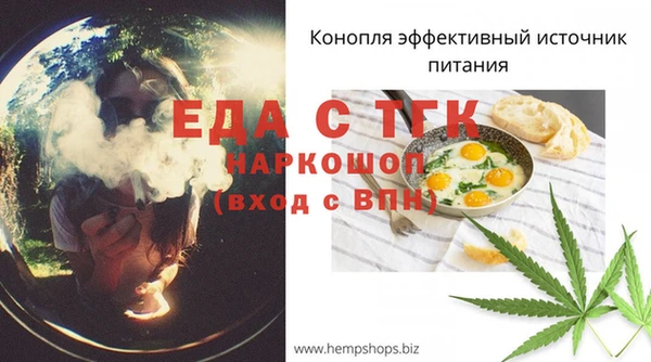 гидра Горнозаводск