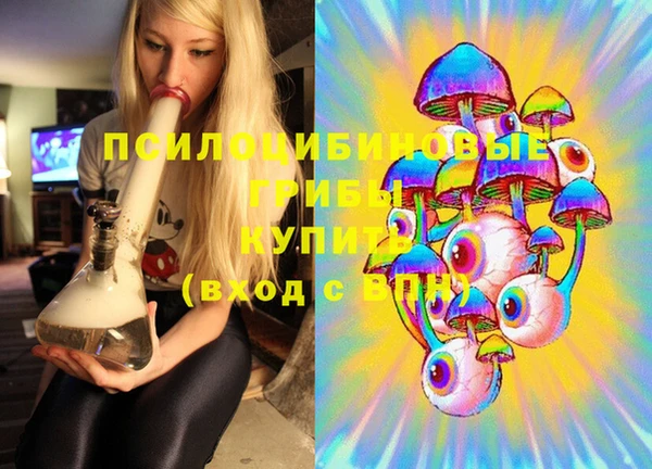 прущие крисы Горняк