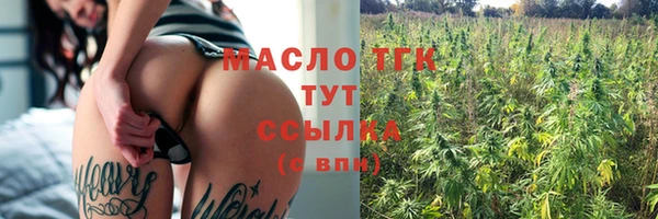 гидра Горнозаводск